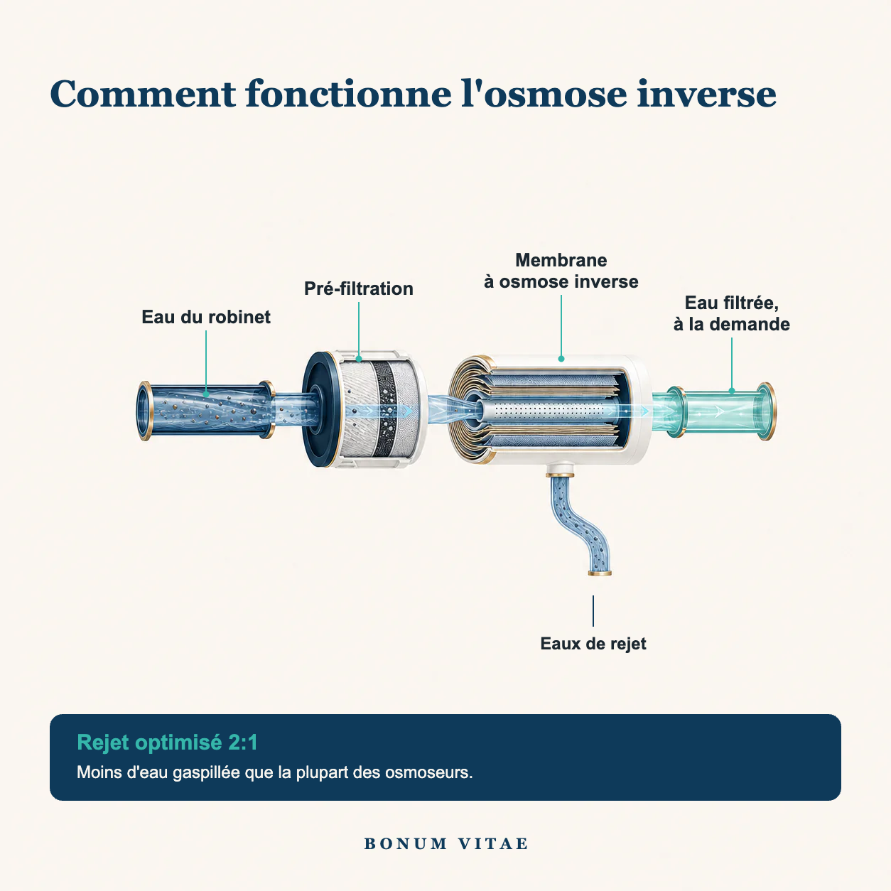 Osmoseur RO 600G — schéma du fonctionnement de l'osmose inverse (rejet 2:1)